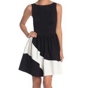 NORDSTROM - Love...Ady Colorblock Fit & Flare Sleeveless Dress, Size S - NWOT